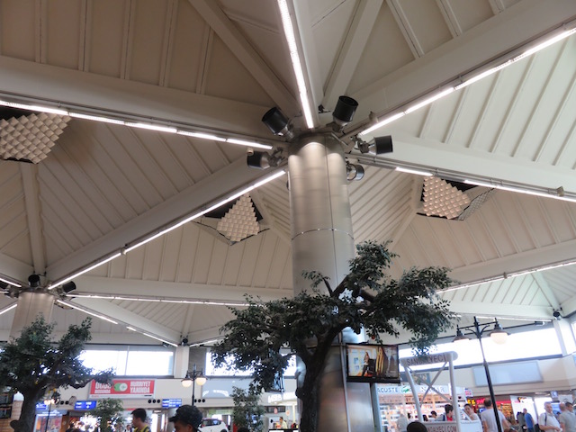 天井が高く、自然光が差し込むアタテュルク空港内のカフェ。決して新しくはないけど、居心地はいい場所でした。