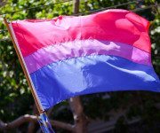 he_bisexual_pride_flag